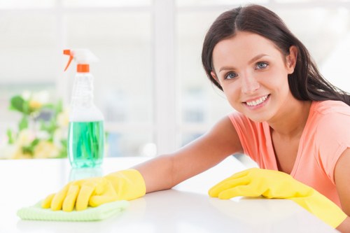 Professional regular cleaning for a Barnes home interior
