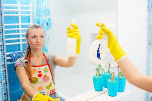 Weekly and fortnightly cleaning visits in Barnes