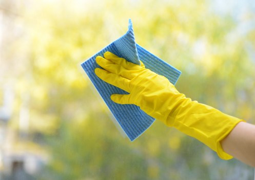 Professional rug cleaning for Barnes homes and local properties