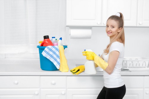 Professional upholstery cleaning for a sofa in a Barnes home