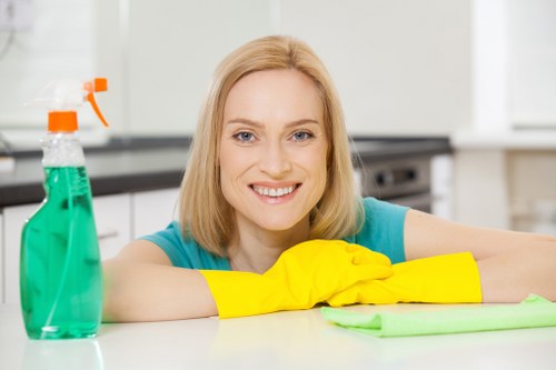 Deep steam cleaning treatment for a carpet in a Barnes living room