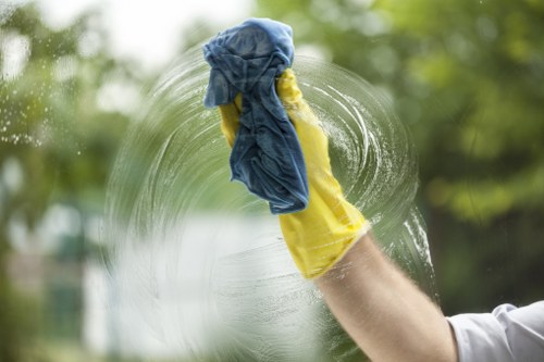 Detailed cleaning for a Barnes home with period features