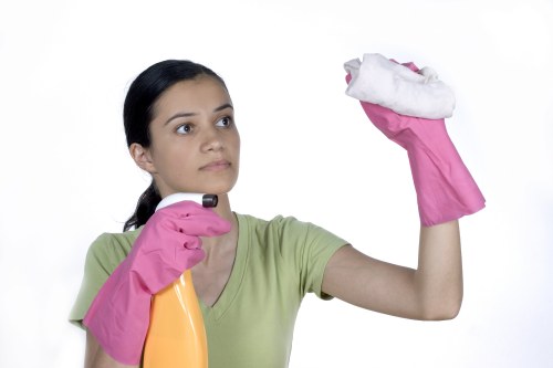 Regular domestic cleaning service for a family home in Barnes