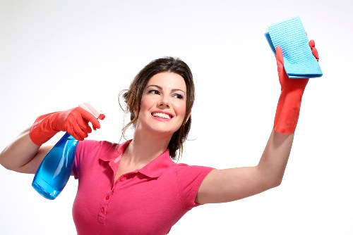 Deep cleaning equipment used for pet stain and odour removal